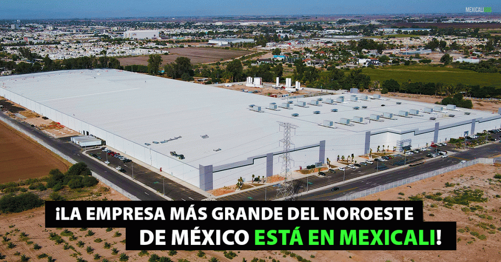 La Empresa Más Grande Del Noroeste De México Está En Mexicali